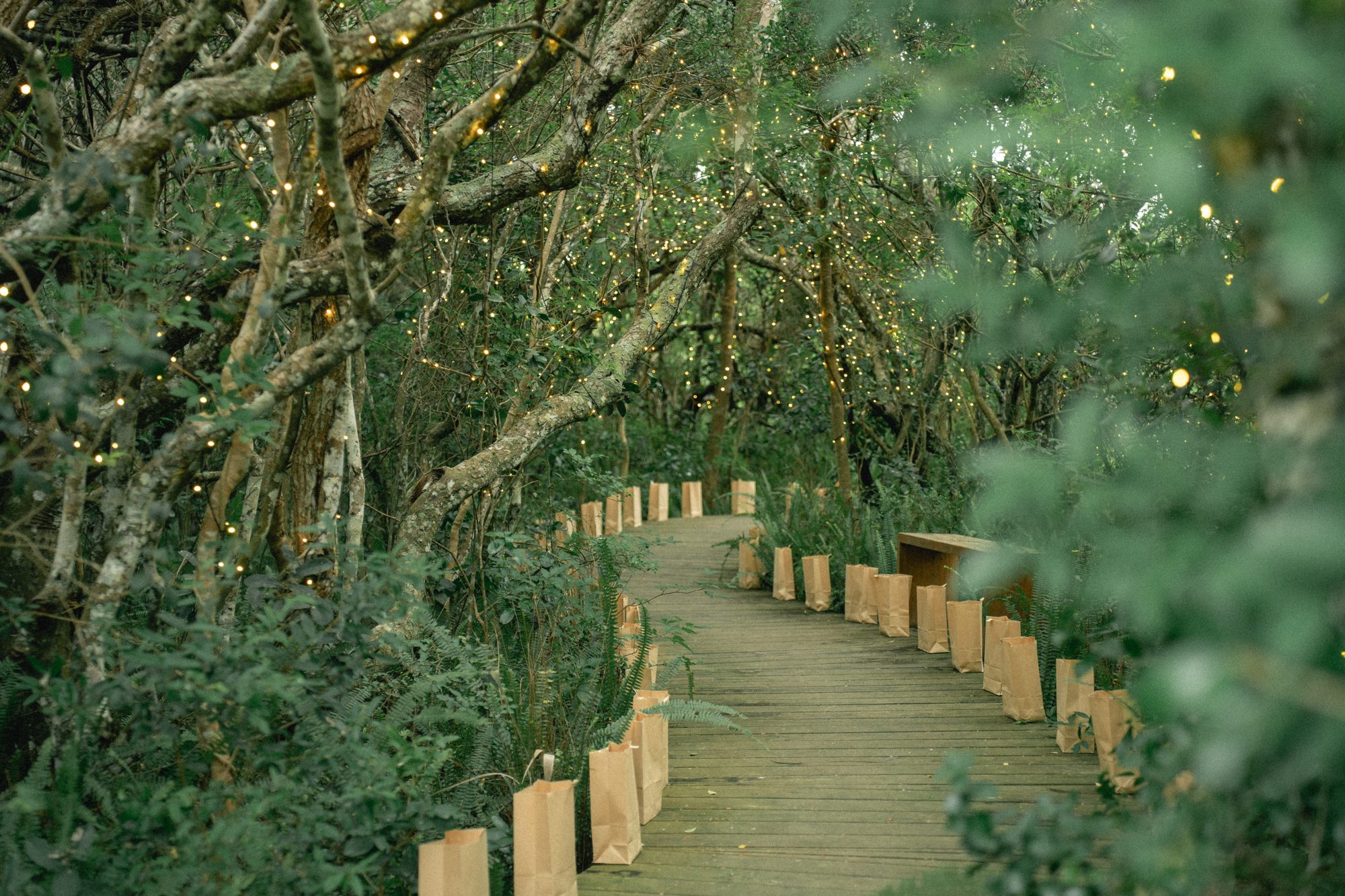 Candlelit path through the trees