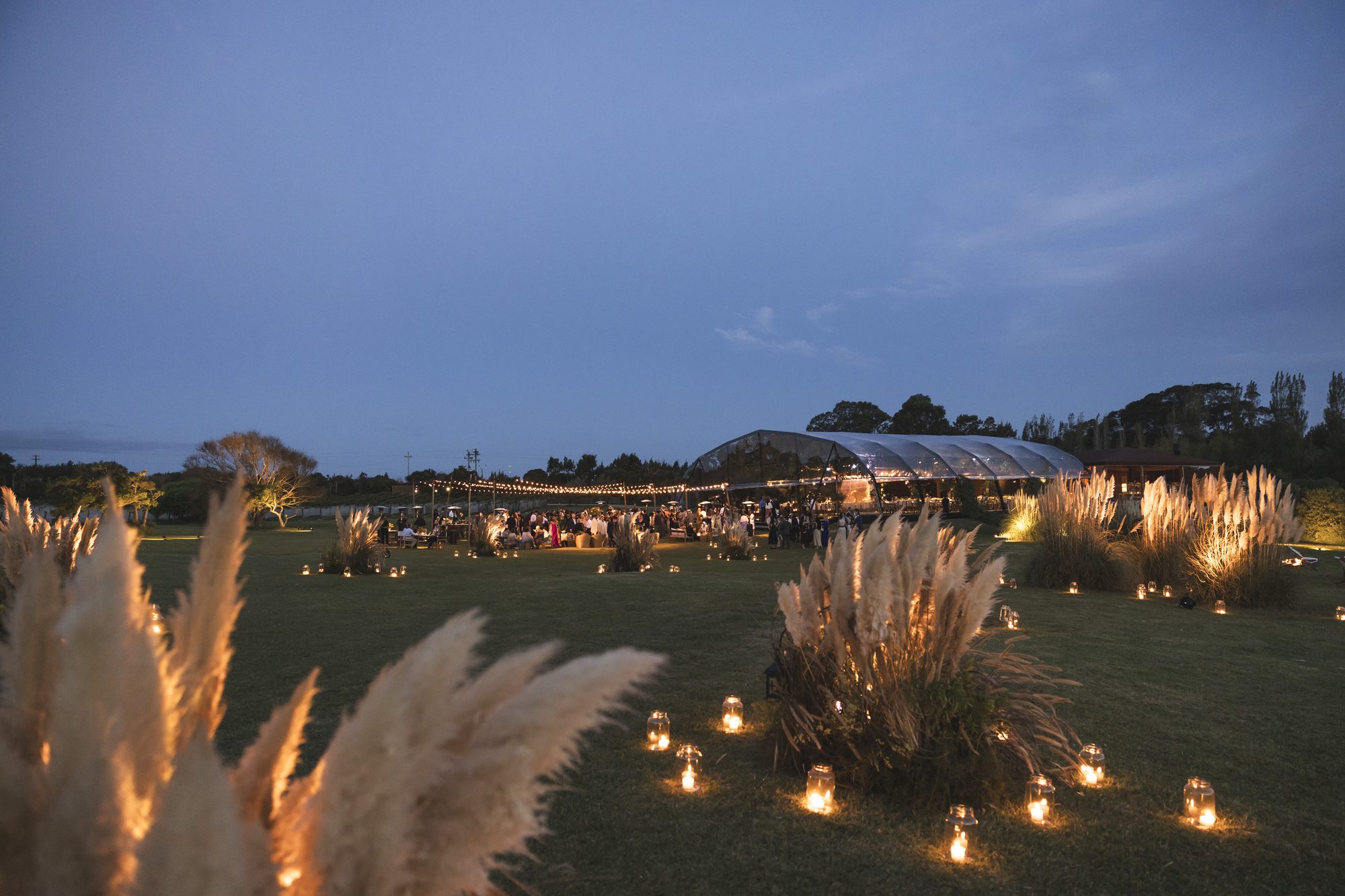 Pampas grass and candles at dusk